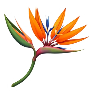 the flower the bird of paradise  sticker