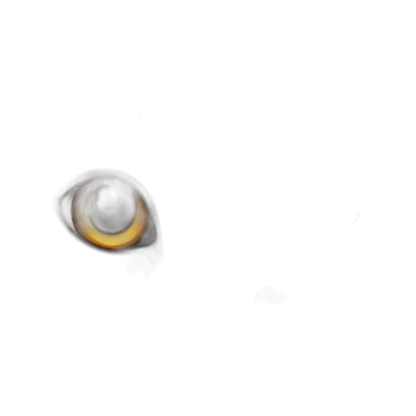 Tabby gray cat with beige mouth and dark nose and orange golden eyes sticker