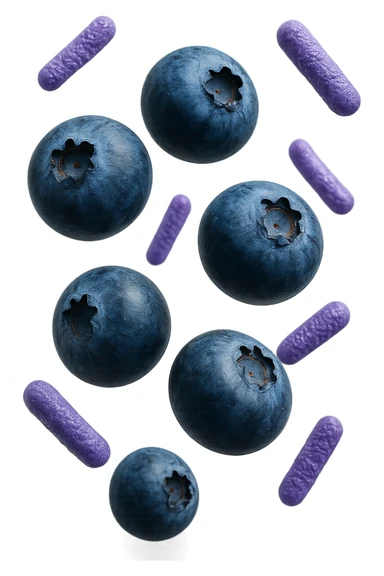 mirtilli fluttuano in aria insieme a 6 batteri intestinali viola, iperrealistico 4k sticker