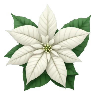 White poinsettia sticker