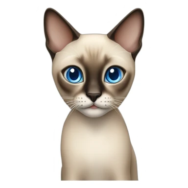 siamese cat with blue eyes sticker