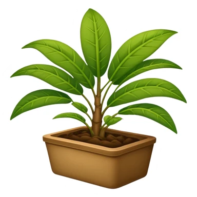 plantas abundantes tipo helecho en macetas rectangulares color café sticker
