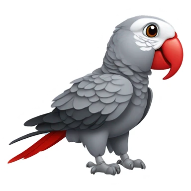 African grey parrot with red feather on his tail and not on his head sticker