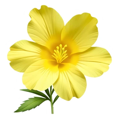 evening primrose flower yellow petals sticker