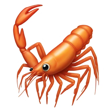 Shrimp  sticker