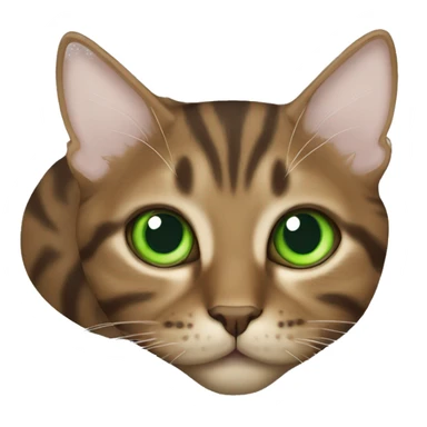 brown tabby cat green eyes laying down sticker