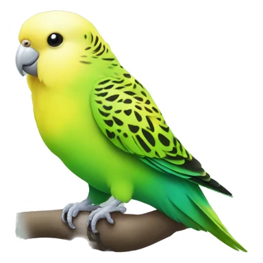 Yellow and green budgie with a green belly sticker