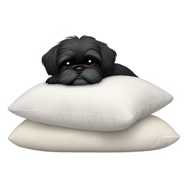 Black Shih Tzu terrier dog sleeping on a pillow sticker