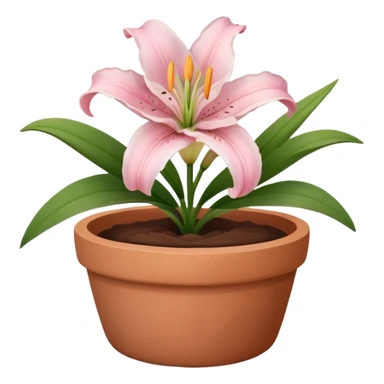 light pink lily in a clay pot sticker
