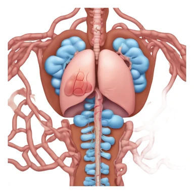 endocrine system sticker