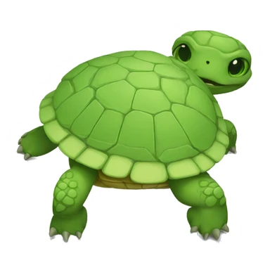 Tartaruga  sticker