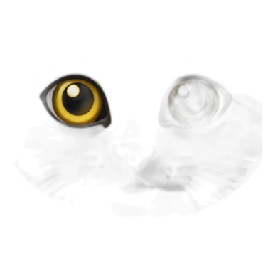 Une étoile chat sticker