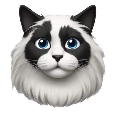 half Black and half white long hair cat with black muzzle sticker