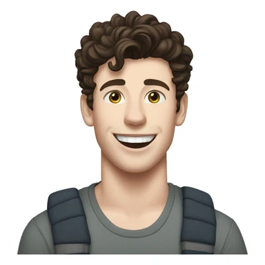 Shawn Mendes sticker