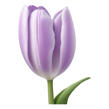 Light Purple Tulip sticker