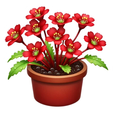 drosera rotundifolia sticker
