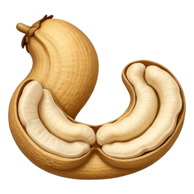 Noix de cajou sticker