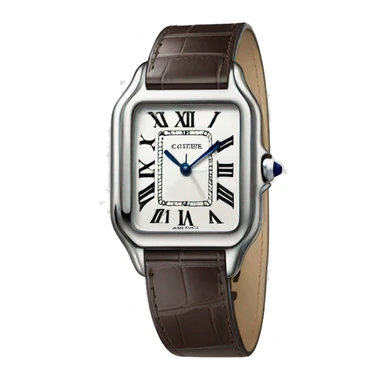 Cartier-santos-dumont-Watch sticker