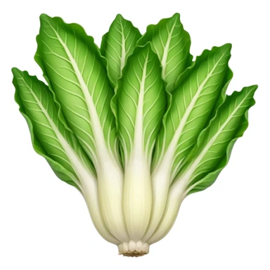 green blegian endive radicchio slim single head  sticker