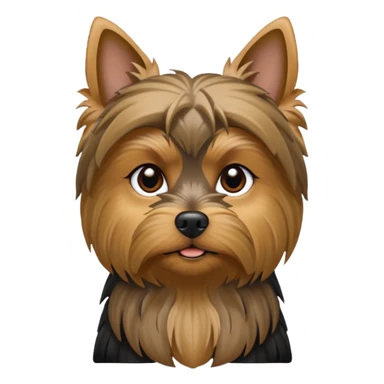 Yorkshire terrier na privada sentado fazer poop  sticker