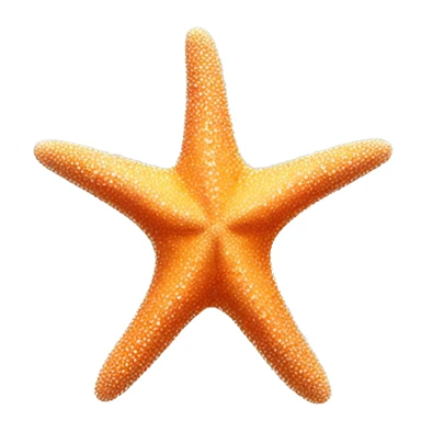 Starfish with heart sticker