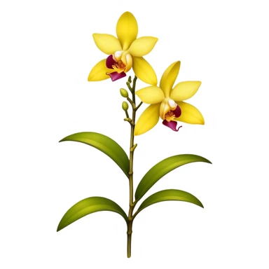 single yellow Dendrobium Orchid flower, stem sticker