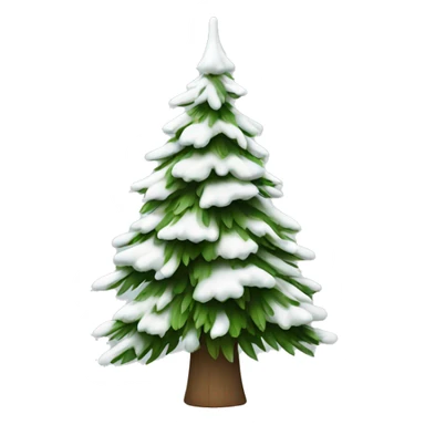  actual white fir christmas tree isolated.  sticker