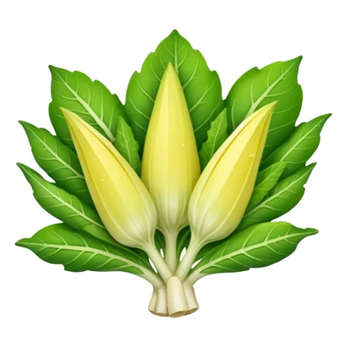 Endive Riccia Cuor D'Oro
  sticker