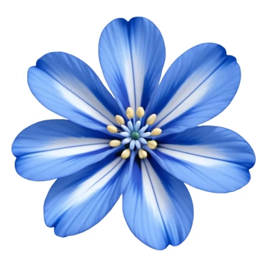 nemophila blue flower sticker