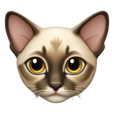 siamese tabby cat sticker