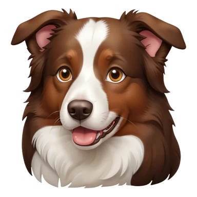 Perro boder colie sticker