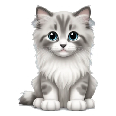 baby long haired gray and white ragdoll kitten sticker