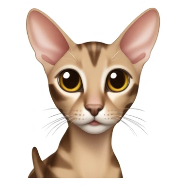 The Oriental Shorthair cat, brown with black stripes sticker