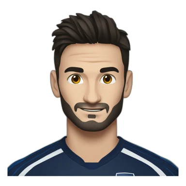 Hugo Lloris sticker