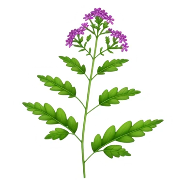 single Verbena, stem, leaf sticker