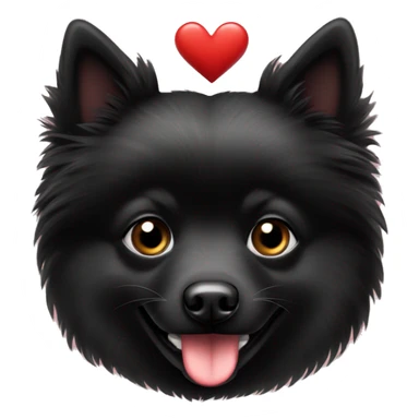 Black spitz with heart sticker
