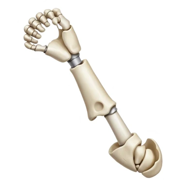 singular arm bone sticker