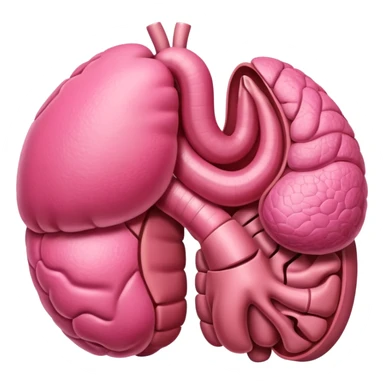stomach organ sticker