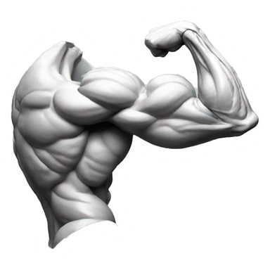 Biceps Anatomy muscle sticker