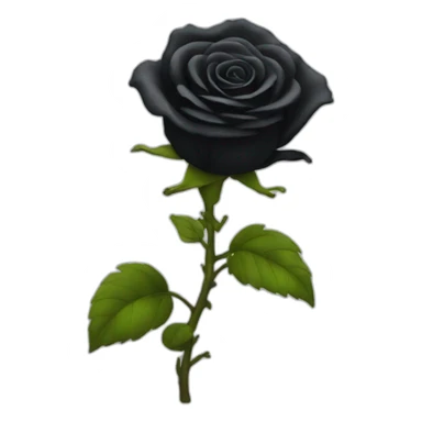 black rose fire sticker