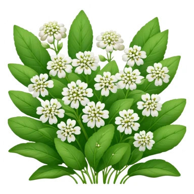 buckwheat coverrop sticker