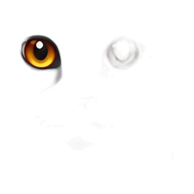 gray black and red Maine Coon cat sticker