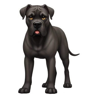 Cane corso  sticker