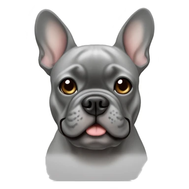 gray french bulldog sticker