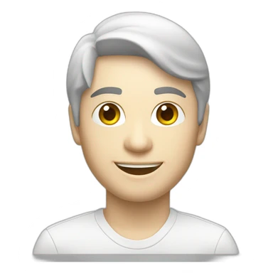 Toyota avalon 2011 model white sticker