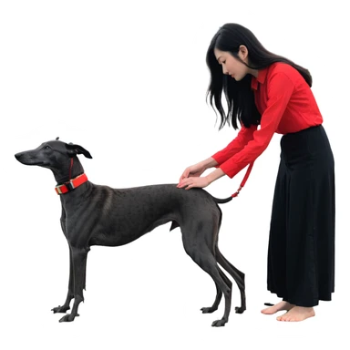 A very beautiful and attractive 25-year-old Japanese woman with long flowing black hair gently petting a PURE SOLID DARK GREY whippet wearing only a bright RED COLLAR on a beach at night under a starry sky. The whippet MUST be 100% SOLID DARK GREY with ABSOLUTELY NO WHITE MARKINGS ANYWHERE - specifically NO WHITE on face, NO WHITE on chest, NO WHITE on paws, NO WHITE anywhere - ENTIRELY ONE CONSISTENT SOLID DARK GREY COLOR throughout the entire dog from nose to tail tip. Only exception is the bright red collar. Deep blue night sky filled with bright stars, moonlight reflecting on the ocean, sandy beach in the foreground. sticker
