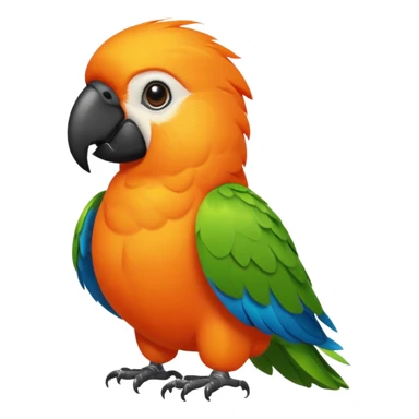 An orange parrot with a black collar sticker