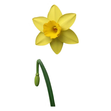 narcissus sticker