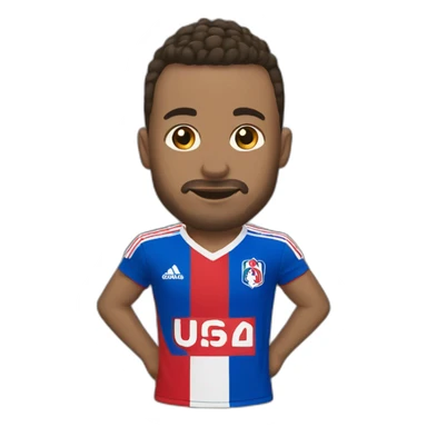 Olympique lyonnais  sticker