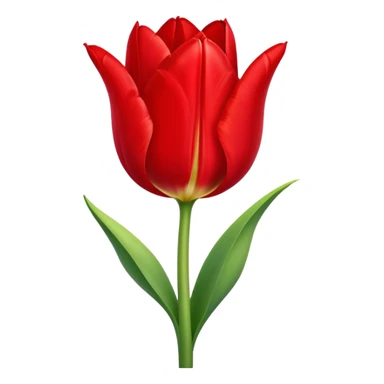 Tulipán sticker